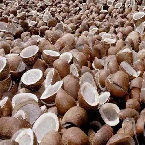 Coconut Copra Suppliers