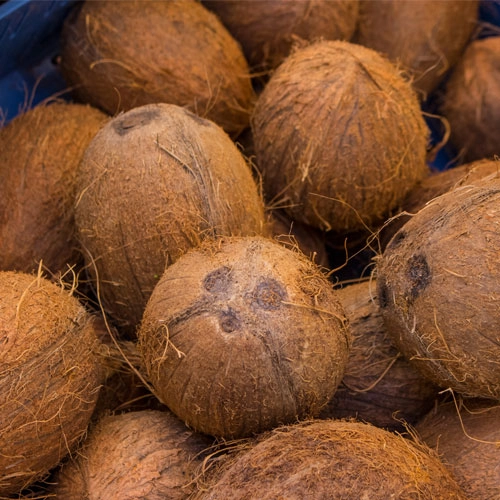 Semi Husked Coconut Suppliers